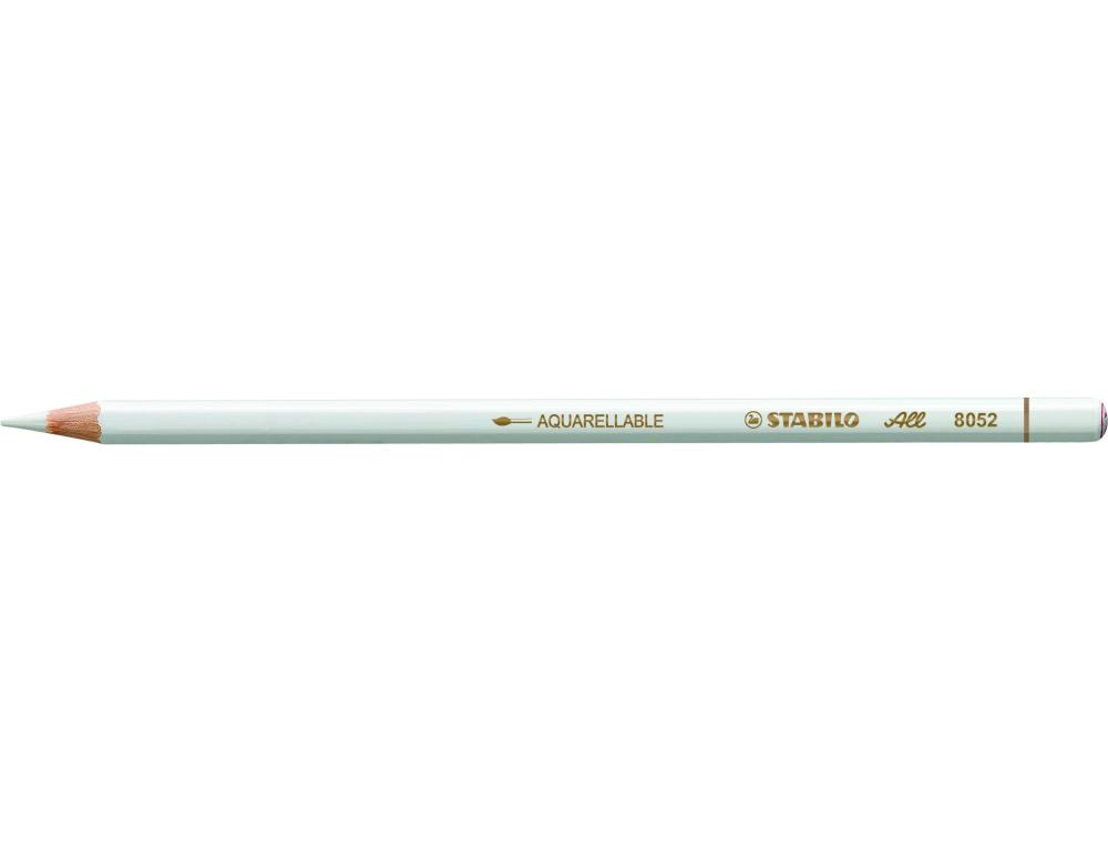 CRAYON STABILO ALL MINE GRASSE ADAPT  TOUTES SURFACES AQUARELLABLE FINITION TTE TREMPE COLORIS BLANC