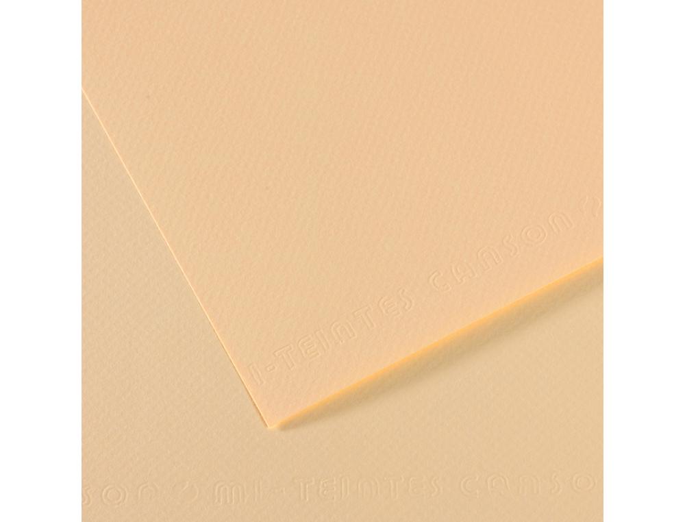 PAPIER DESSIN CANSON FEUILLE MI-TEINTES N 111 GRAIN        GELATINE HAUTE TENEUR COTON   160G 50X65CM UNICOLORE IVOIRE