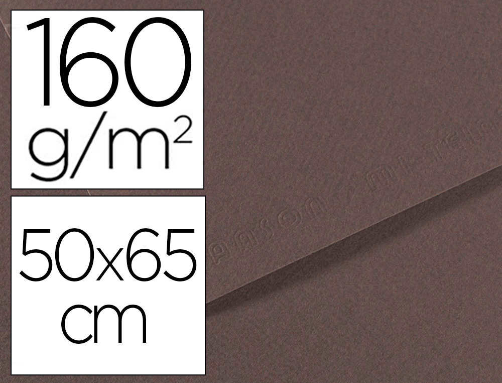 PAPIER DESSIN CANSON FEUILLE MI-TEINTES N 345 GRAIN GELATINE HAUTE TENEUR COTON 160G 50X X65CM UNICOLORE GRIS ARDOISE