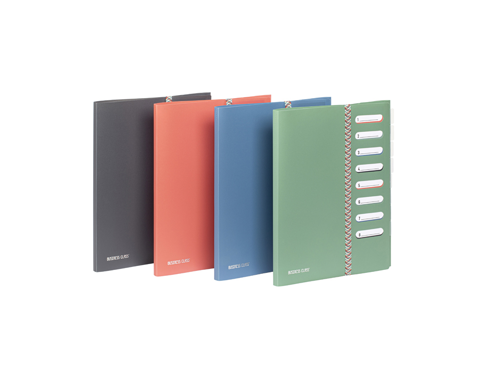 TRIEUR VIQUEL BUSINESS CLASS POLYPROPYLENE A4 8            COMPARTIMENTS COLORIS         ALEATOIRE