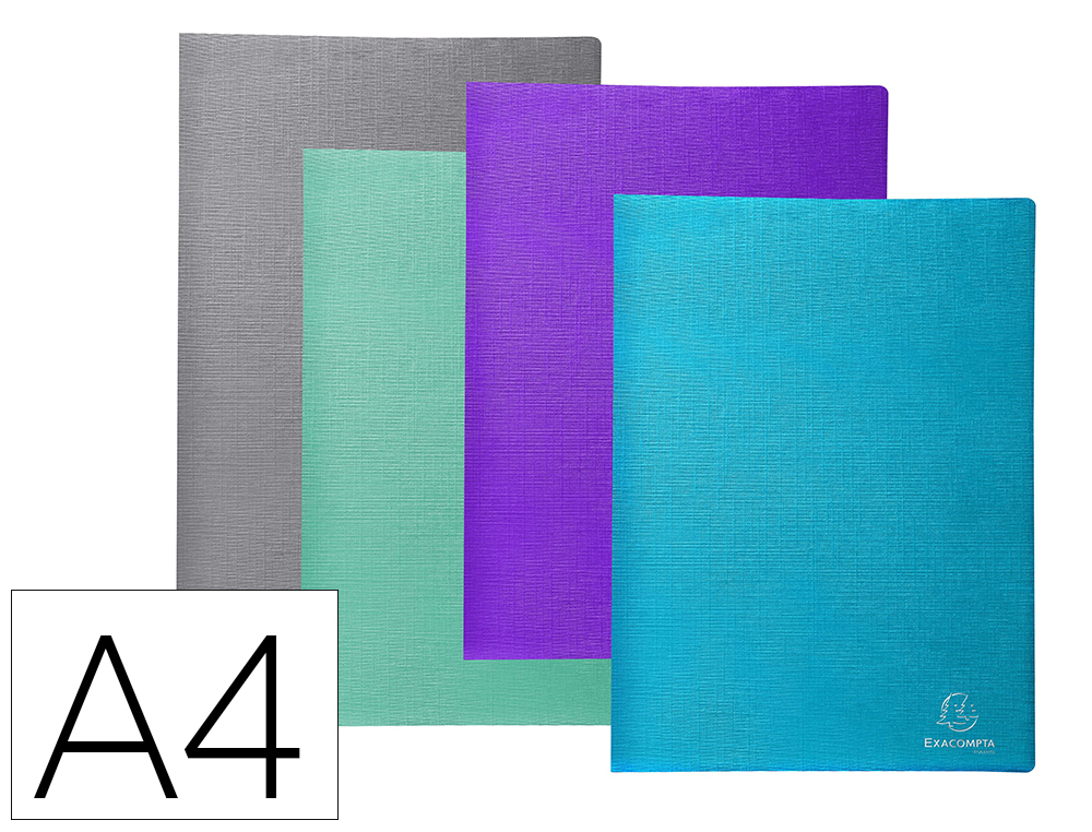 PROTEGE DOCUMENTS EXACOMPTA TEKSTO A4 40 VUES COUVERTURE  CARTE 5/10E POCHETTE LISSE    COLORIS ASSORTIS