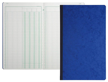 REGISTRE PIQRE EXACOMPTA COLONNES 250X320MM 31 LIGNES 10 COLONNES/2 PAGES 80 PAGES