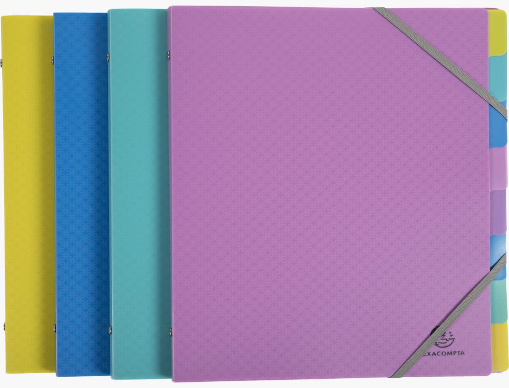 TRIEUR PP FOREVER YOUNG 8T TRIEUR FOREVER YOUNG - EXACOMPTA - POLYPRO RECYCLE 8 TOUCHES